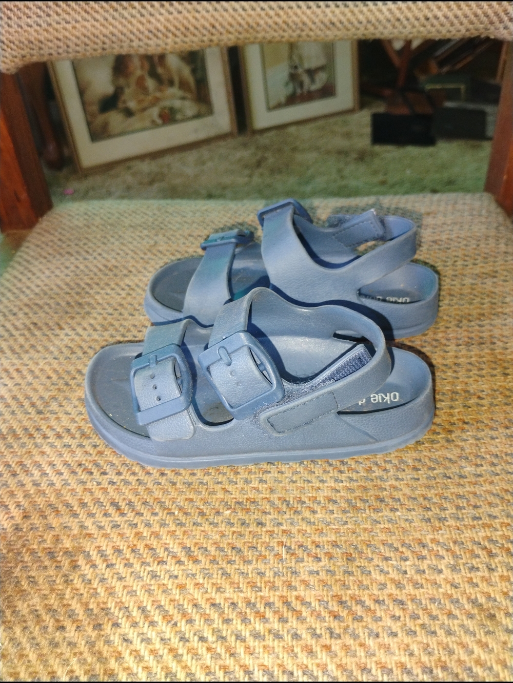 Kids Blue Adjustable Strap Sandals